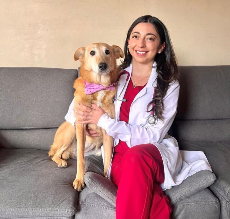 dra laura gordillo